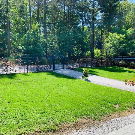 Ferienhaus 2 Im Harz Niehoff Darlingerode Εξωτερικό φωτογραφία