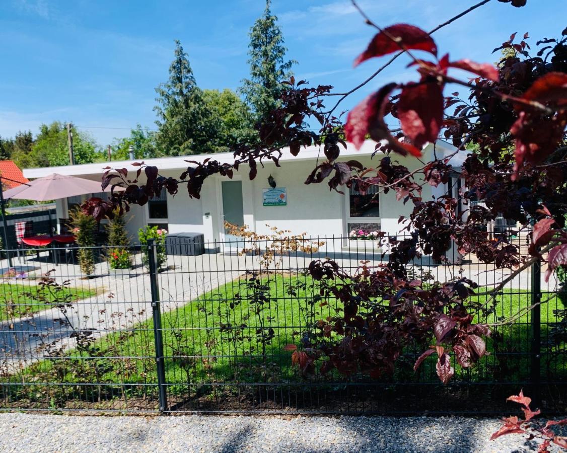 Ferienhaus 2 Im Harz Niehoff Darlingerode Εξωτερικό φωτογραφία