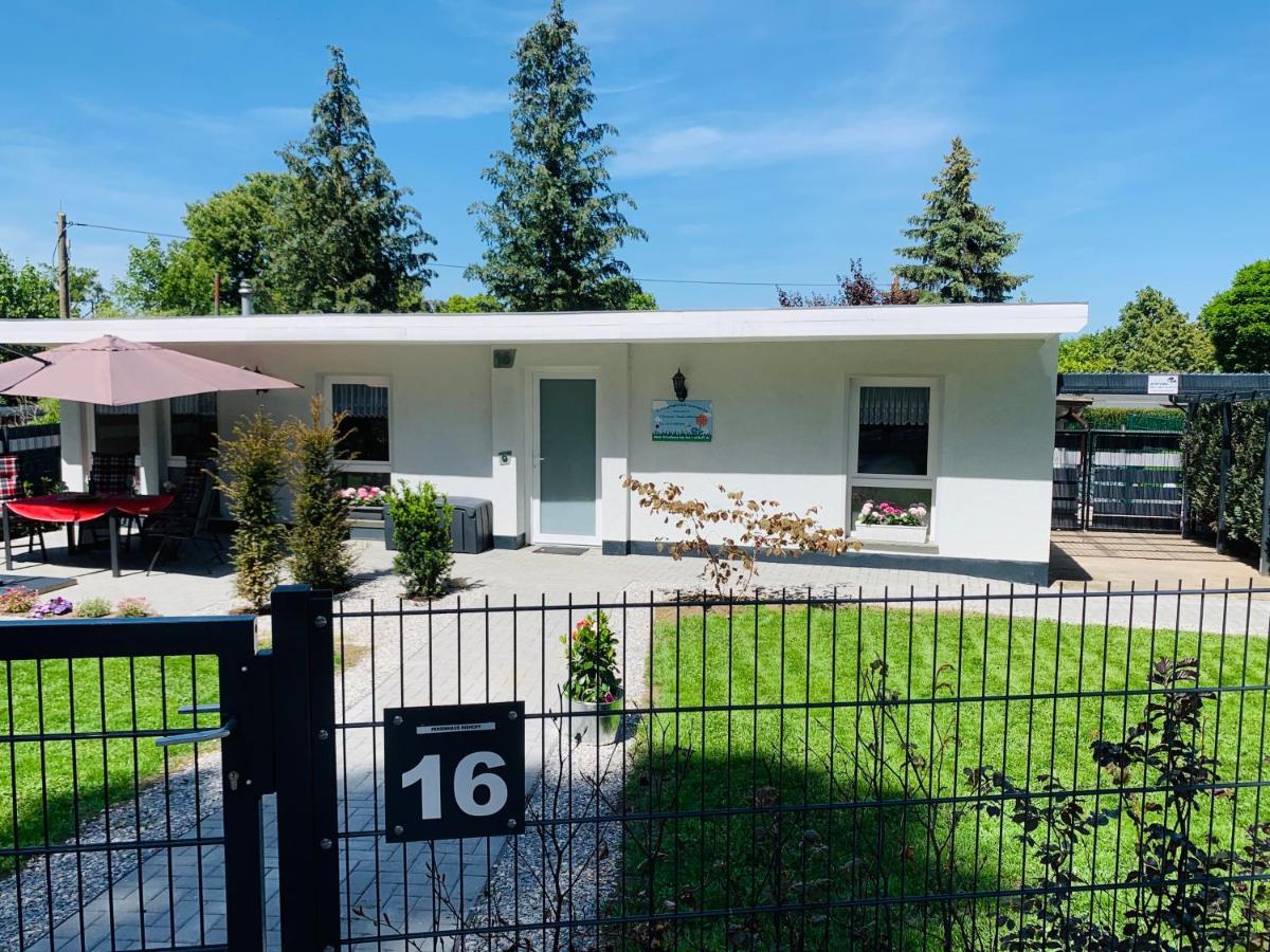 Ferienhaus 2 Im Harz Niehoff Darlingerode Εξωτερικό φωτογραφία