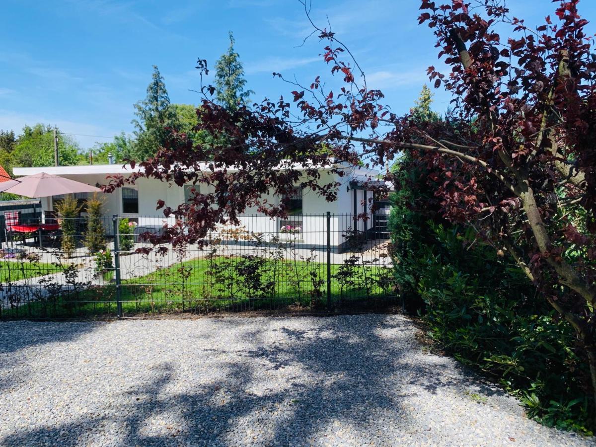 Ferienhaus 2 Im Harz Niehoff Darlingerode Εξωτερικό φωτογραφία